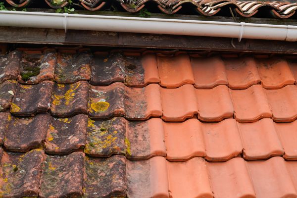 Cost of Industrial Roof Cleaning in Carlsbad
